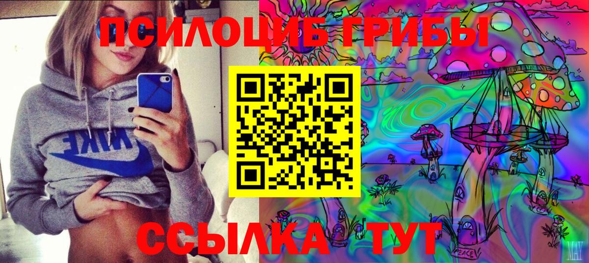 Галлюциногенные грибы мицелий Каменка